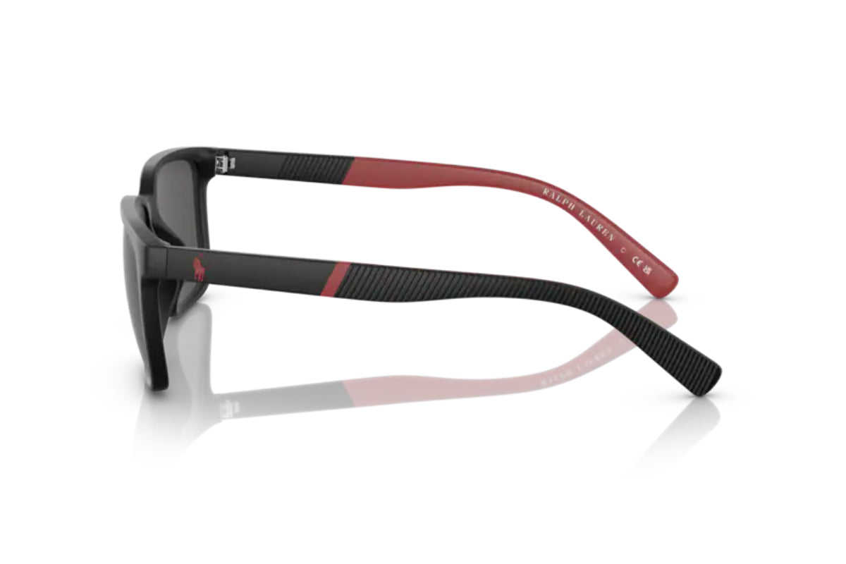 Polo Lentes de Sol PH4189U