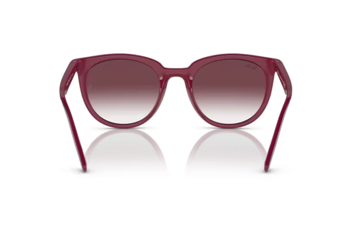 Ray-Ban Lentes de Sol RB4383L