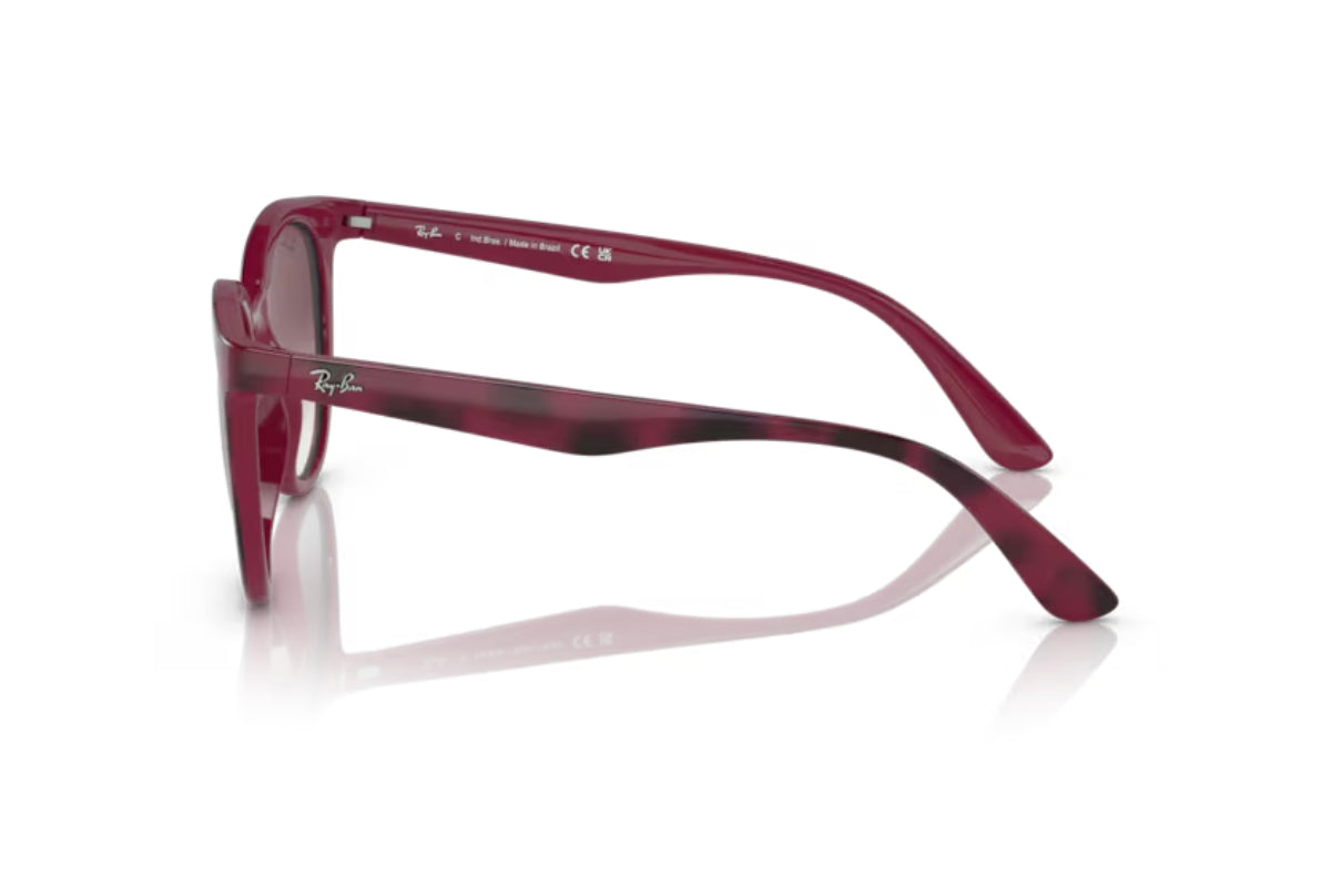 Ray-Ban Lentes de Sol RB4383L