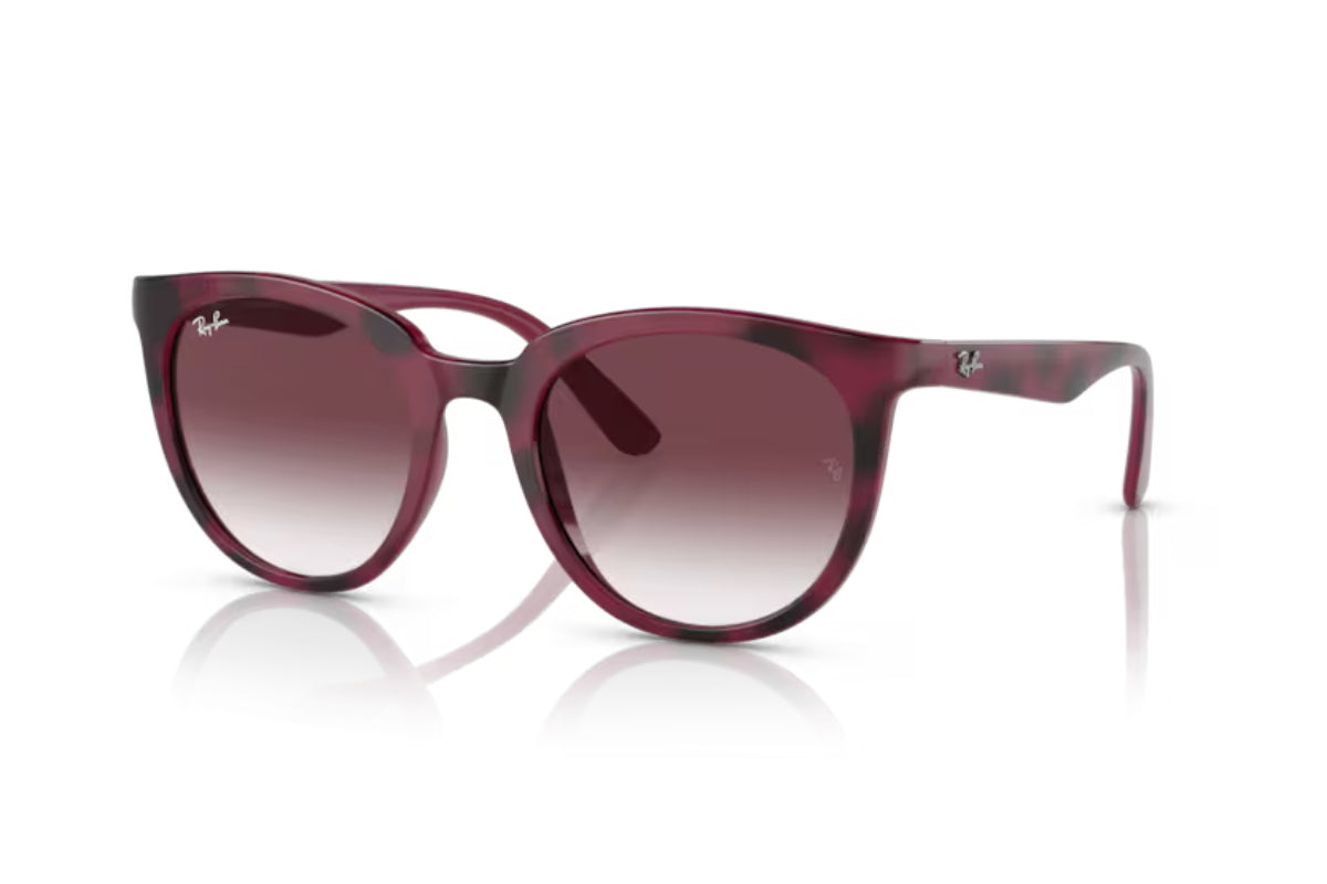 Ray-Ban Lentes de Sol RB4383L