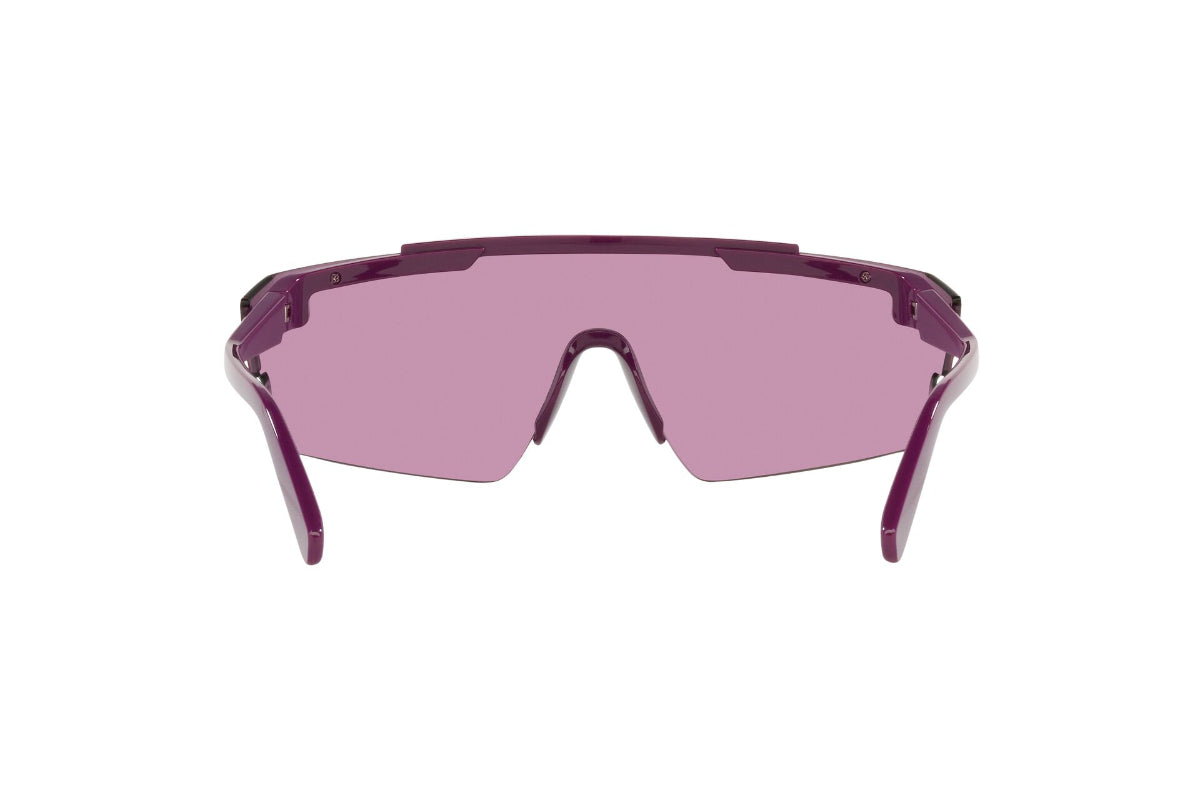 Lentes de Sol deimos Cyclamen Arnette Sustentable