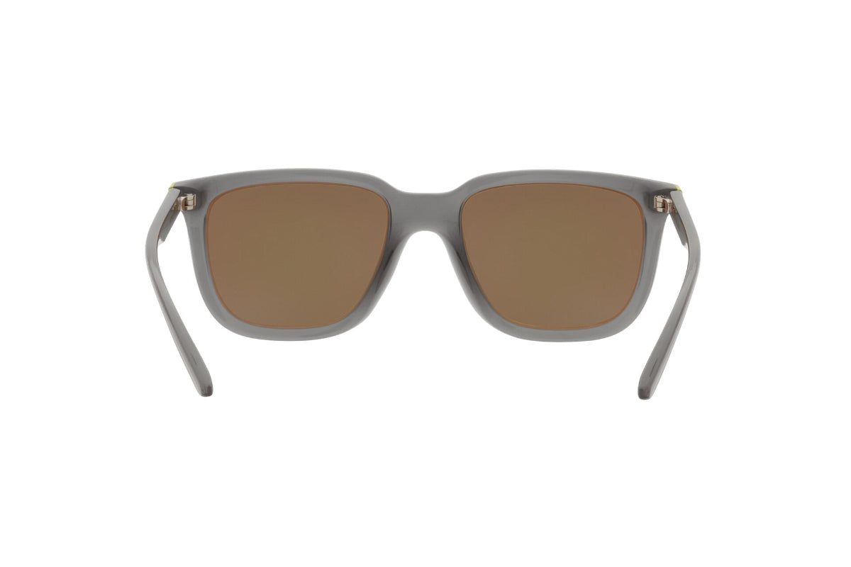 Arnette Lentes de Sol Plaka AN4306