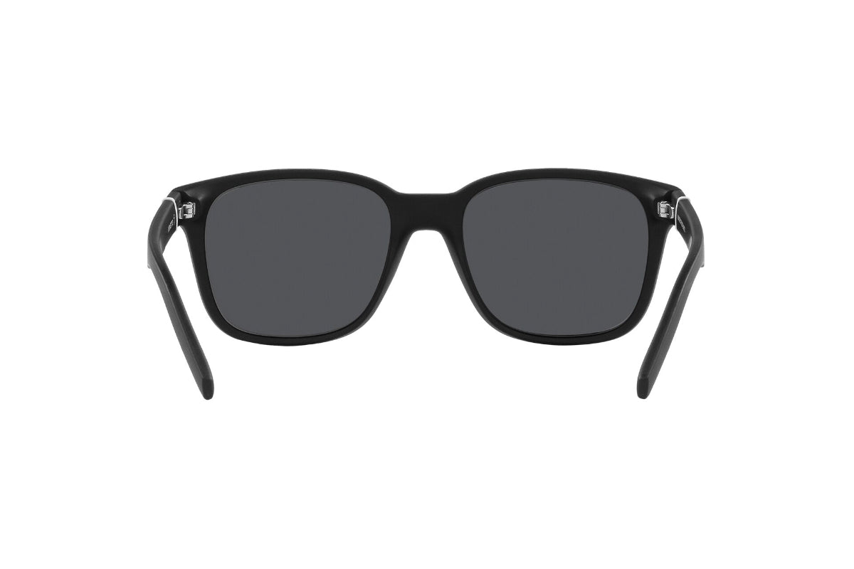 Arnette Lentes de Sol Surry Hills AN4320