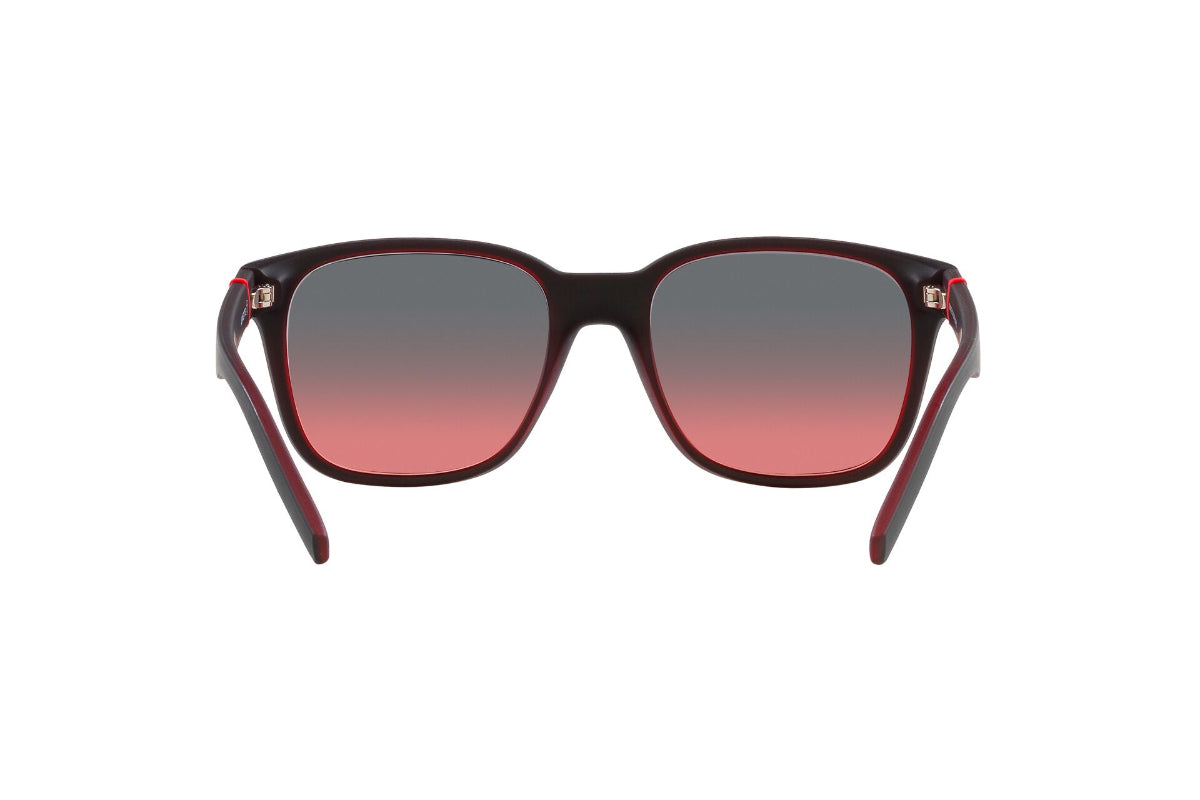 Arnette Lentes de Sol Surry Hills AN4320