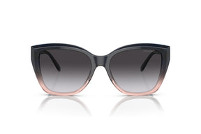 Emporio Armani Lentes de Sol Degradados EA4198