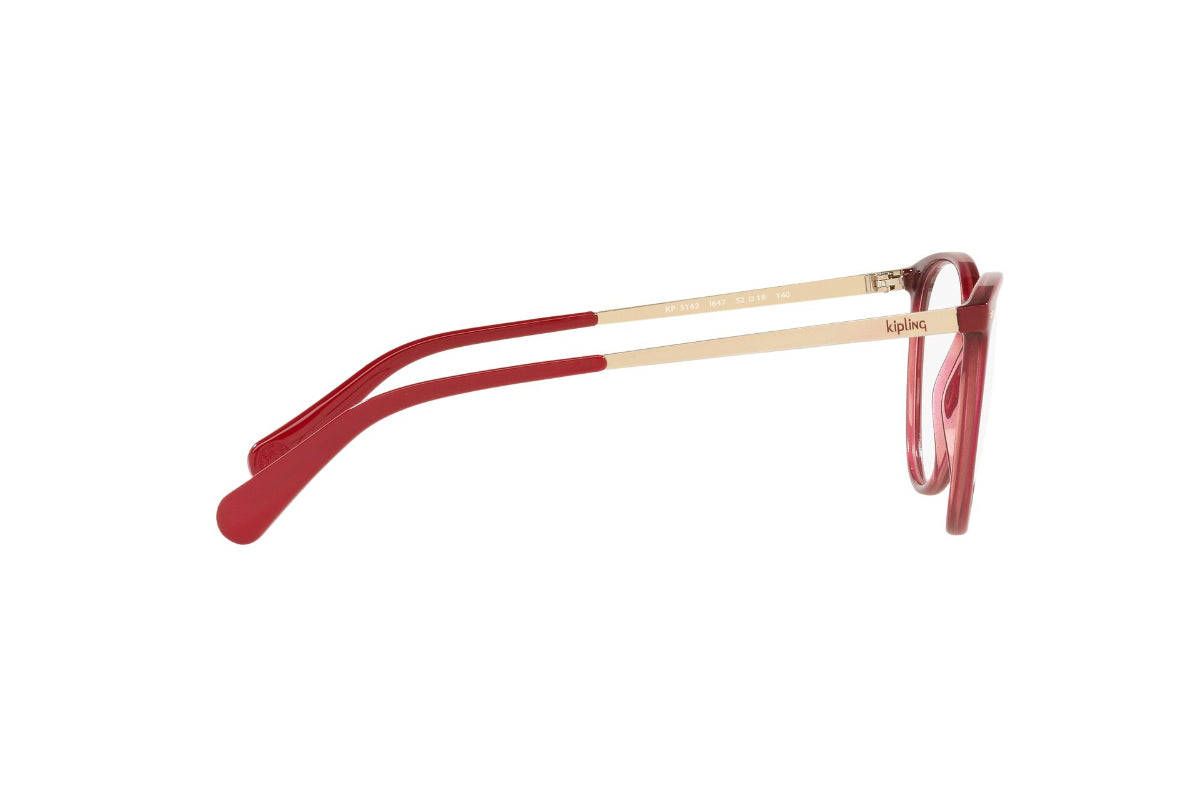 Kipling Lentes Ópticos KP3142I