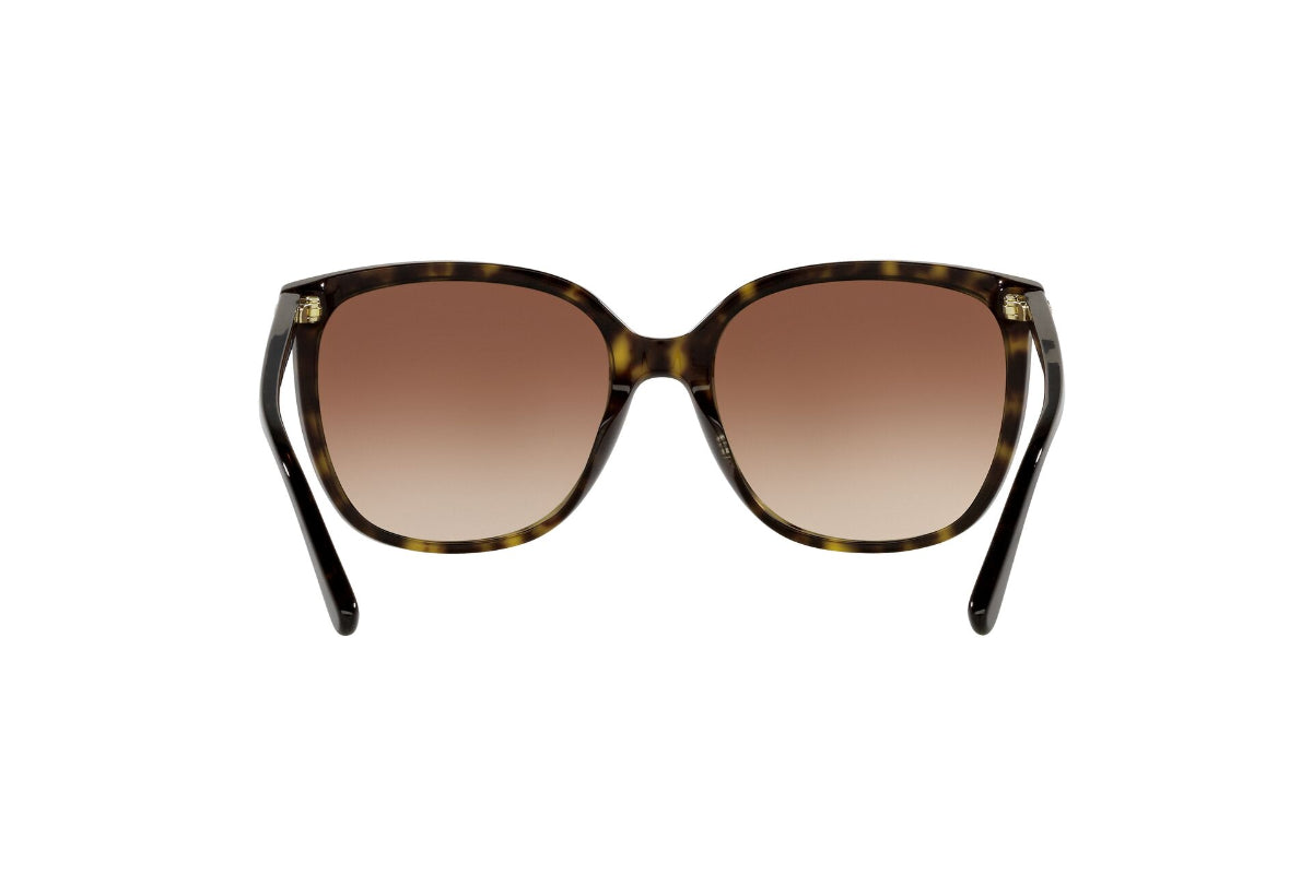 Lentes de Sol Anaheim Dark marrón Michael Kors