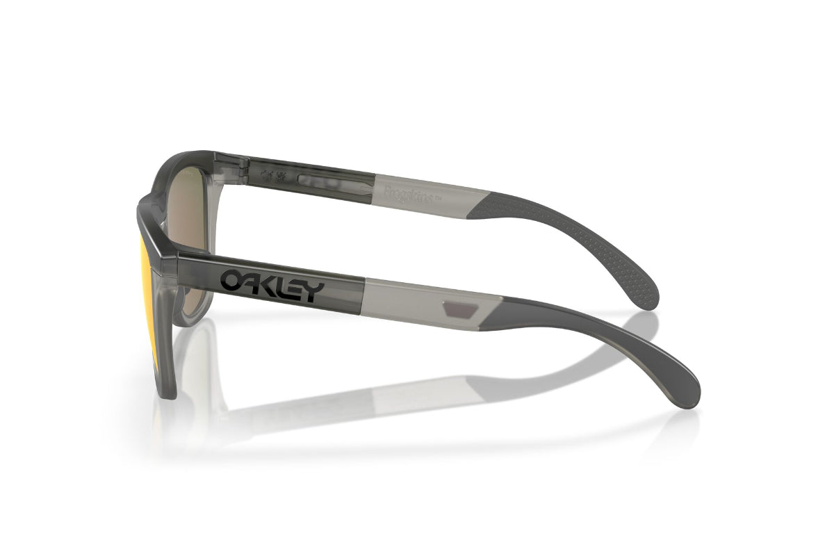 Oakley Lentes de Sol Frogskins Range Prizm OO9284