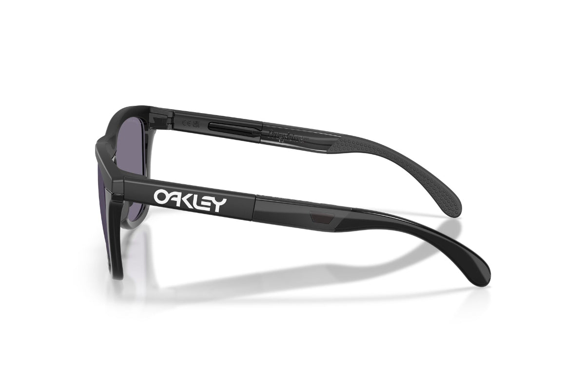 Oakley Lentes de Sol Frogskins Range XL OO9503