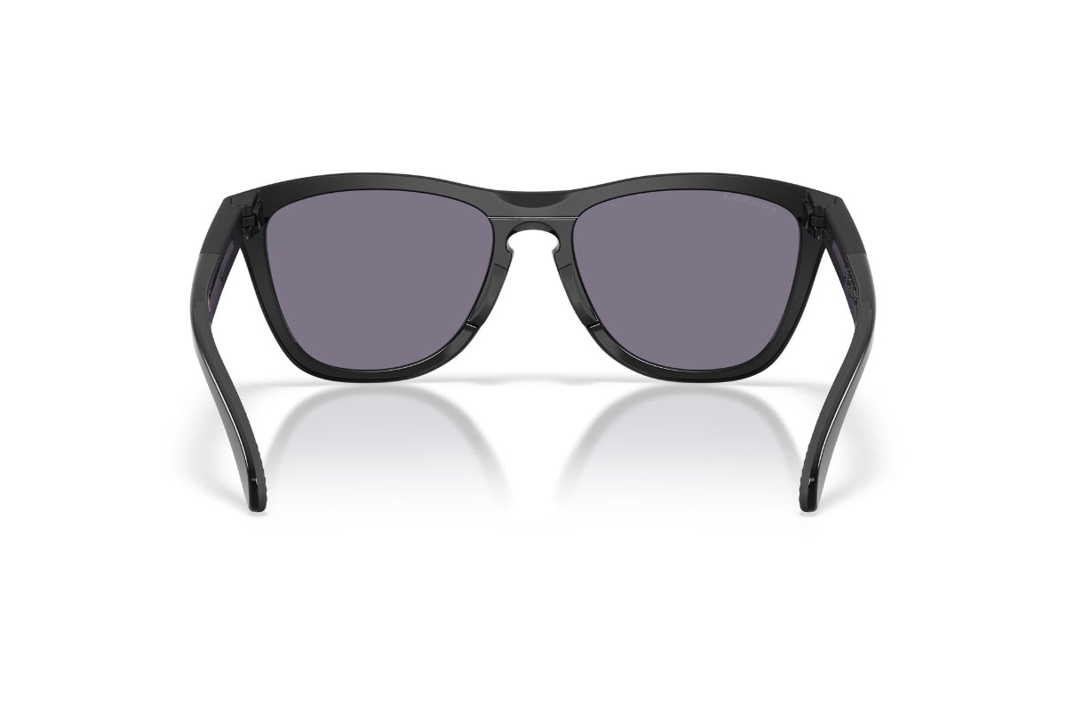 Oakley Lentes de Sol Frogskins Range XL OO9503