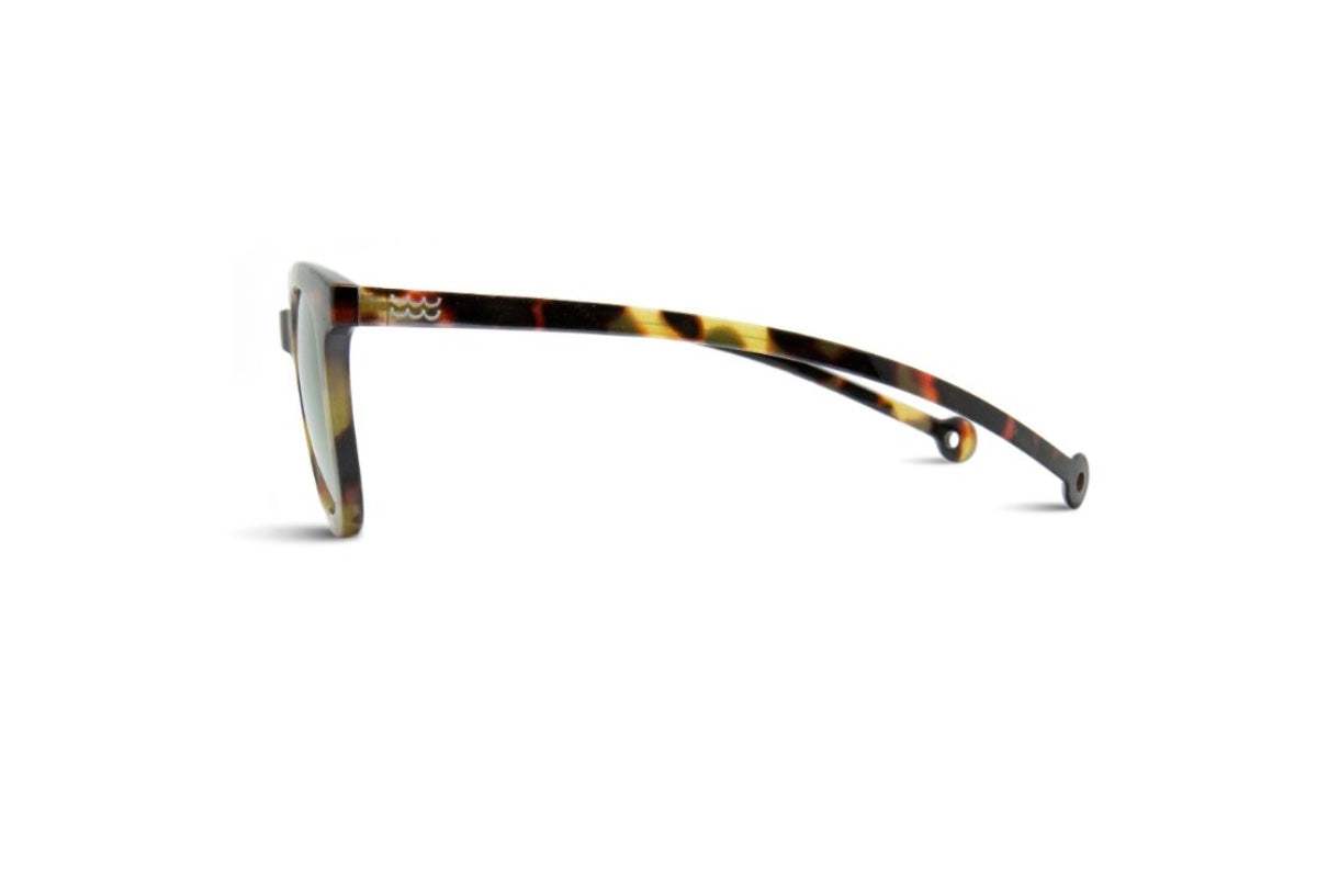 Parafina Lentes de Sol Cauce Polarizados PACAITR