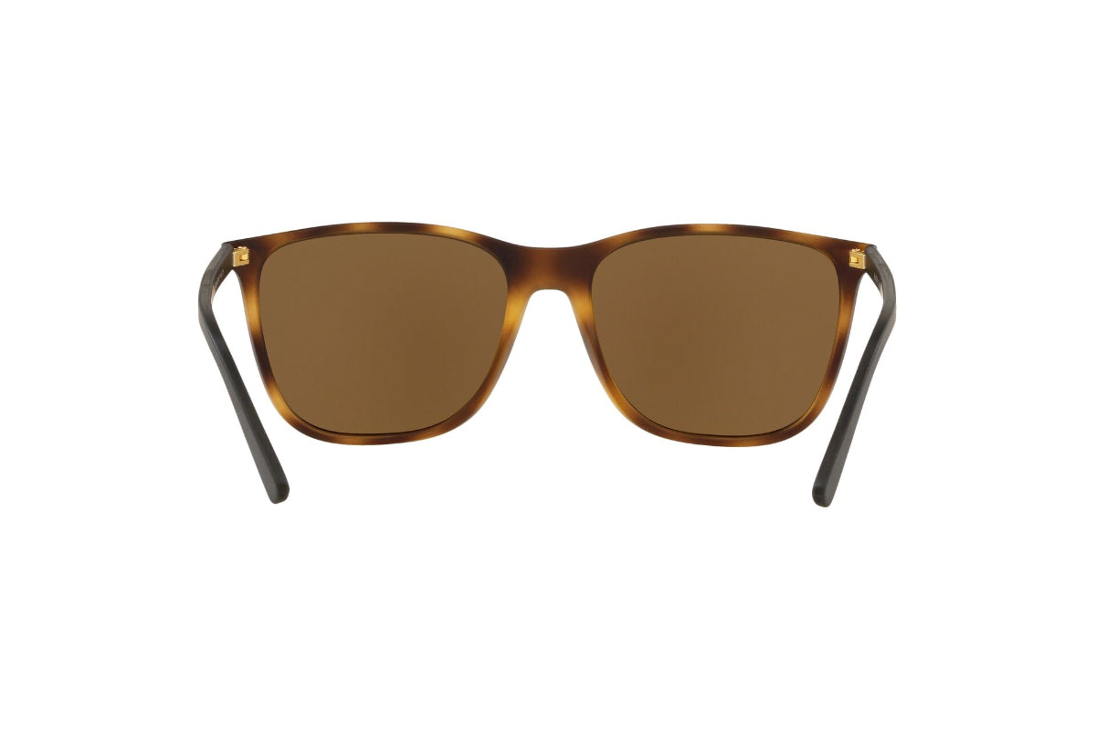 Lentes de Sol Tortoise Polo