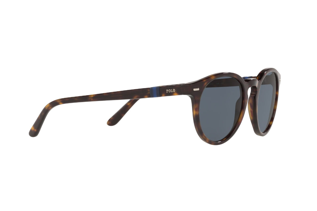 Lentes de Sol Shiny Dark Havana Polo