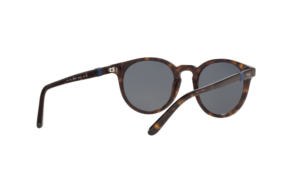 Lentes de Sol Shiny Dark Havana Polo