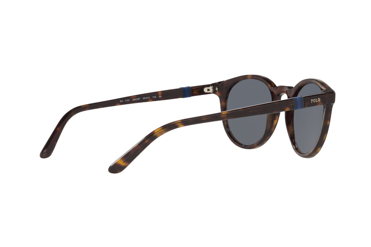 Lentes de Sol Shiny Dark Havana Polo