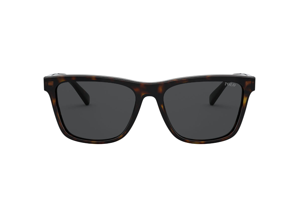 Lentes de Sol Shiny Dark Havana Polo