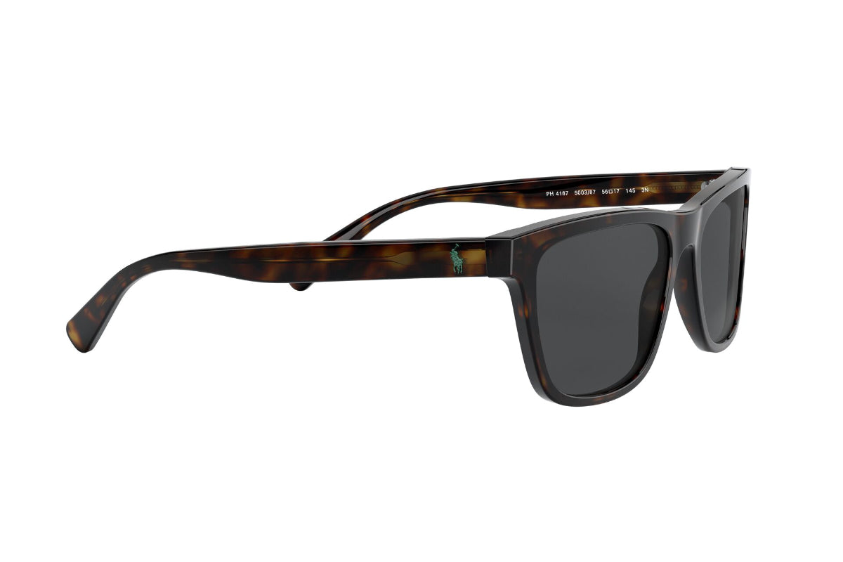 Lentes de Sol Shiny Dark Havana Polo