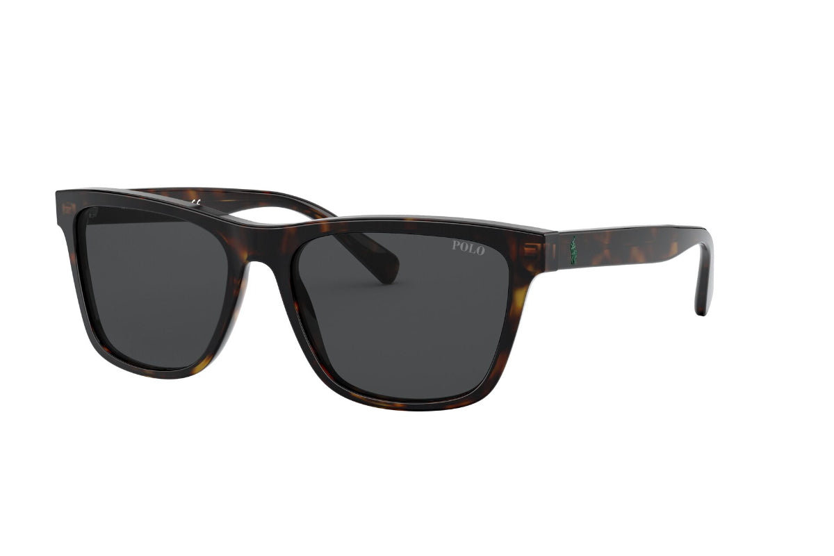 Lentes de Sol Shiny Dark Havana Polo