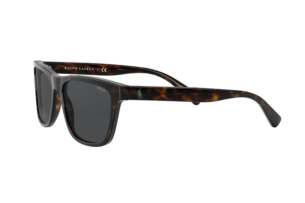Lentes de Sol Shiny Dark Havana Polo