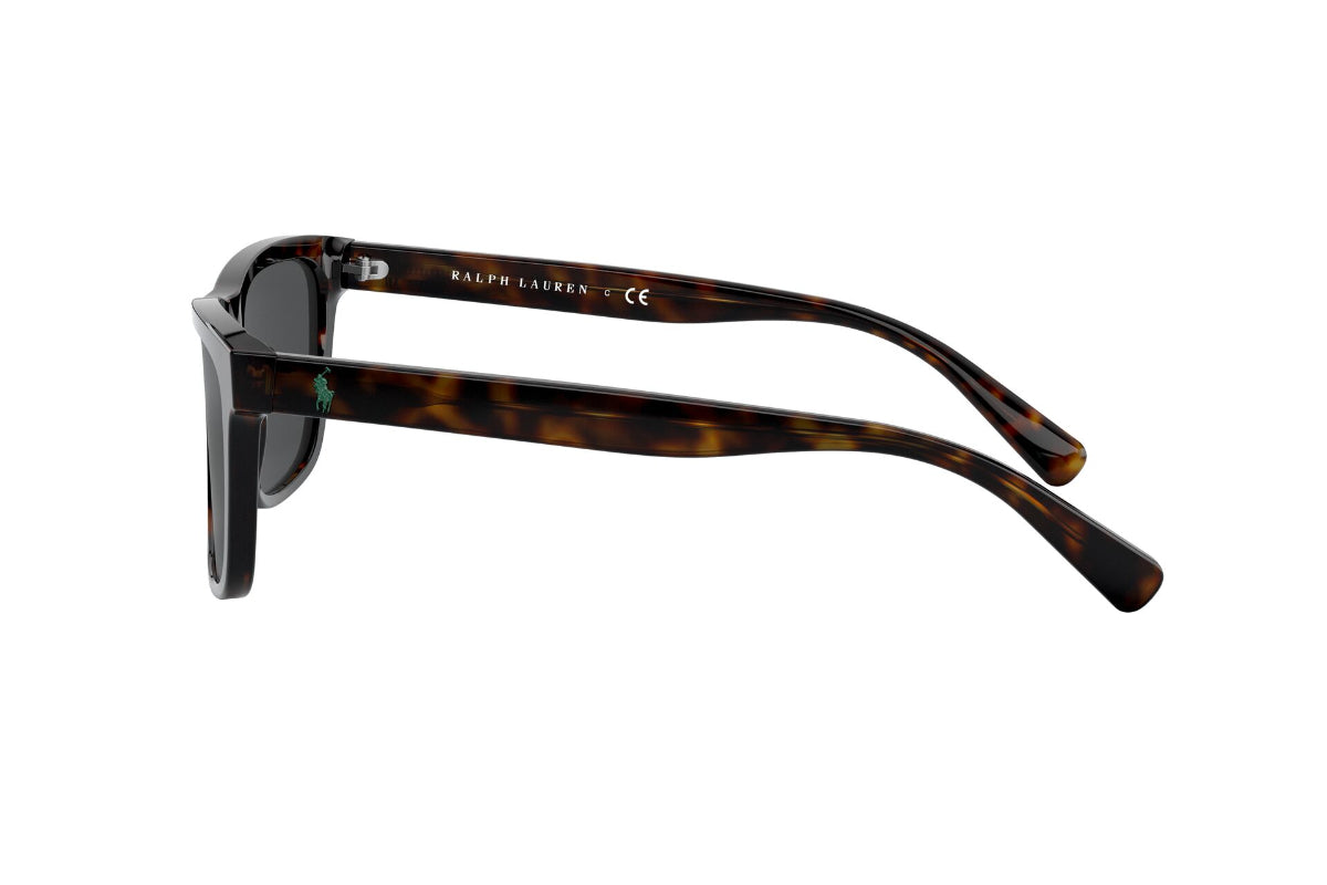 Lentes de Sol Shiny Dark Havana Polo