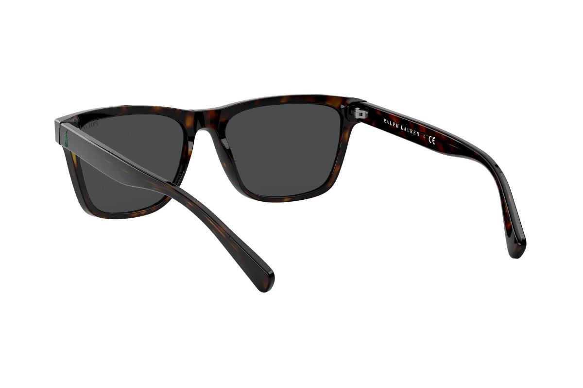 Lentes de Sol Shiny Dark Havana Polo