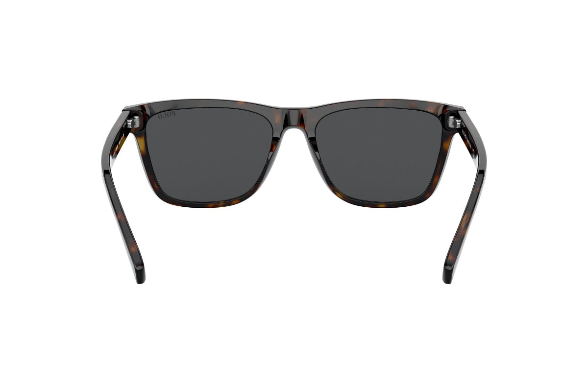 Lentes de Sol Shiny Dark Havana Polo