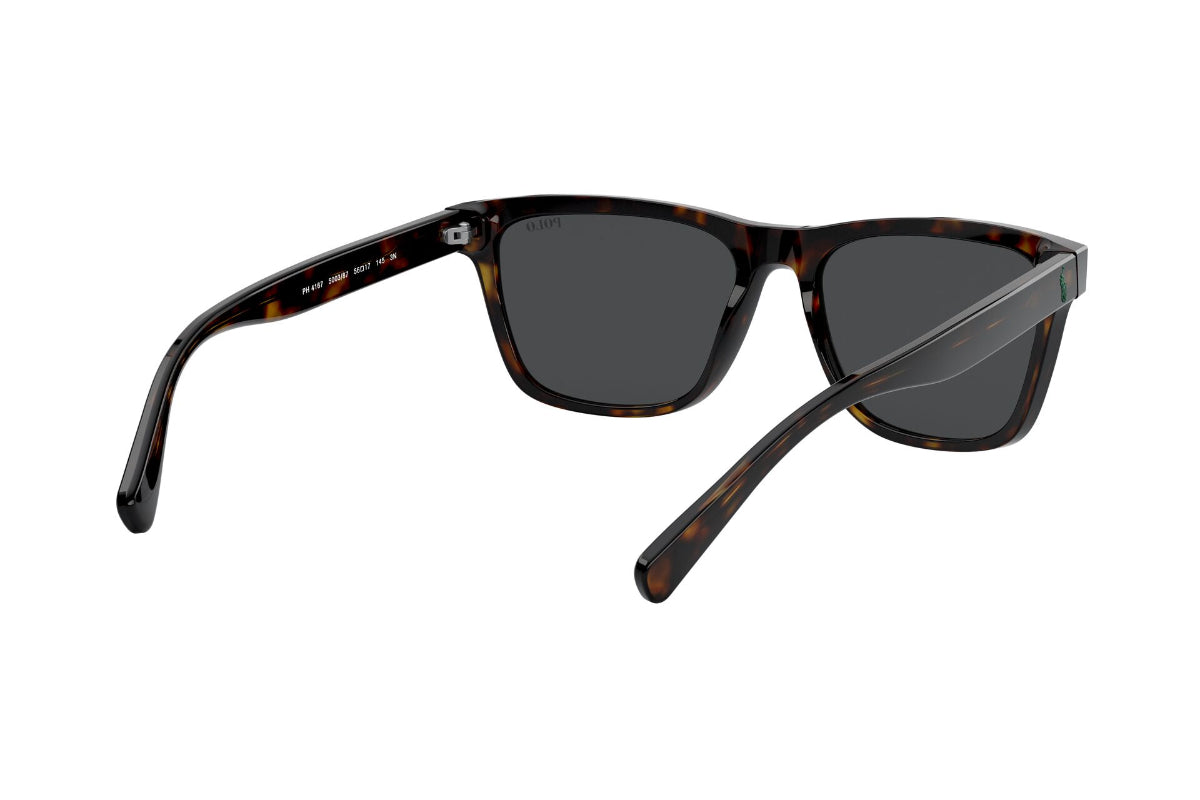 Lentes de Sol Shiny Dark Havana Polo