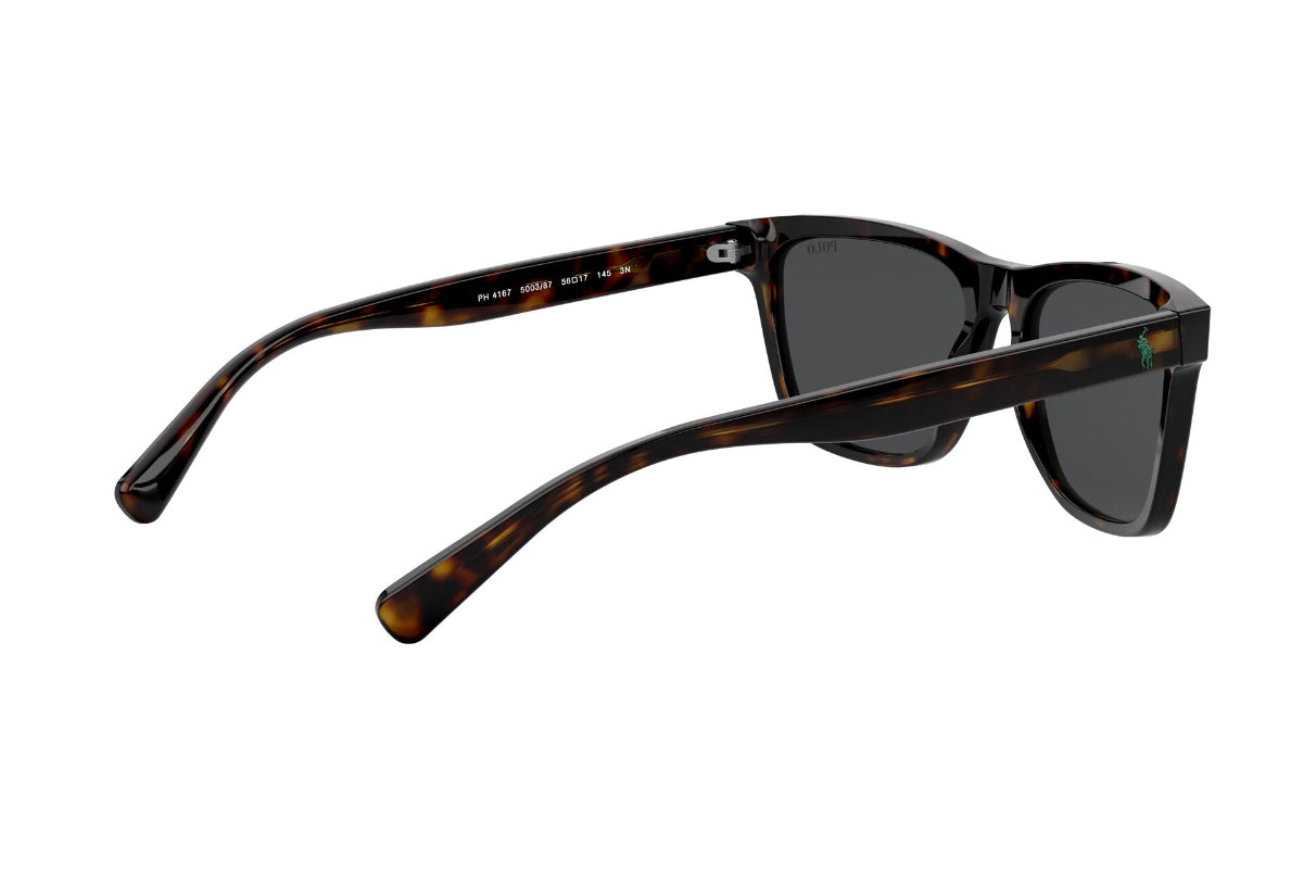 Lentes de Sol Shiny Dark Havana Polo