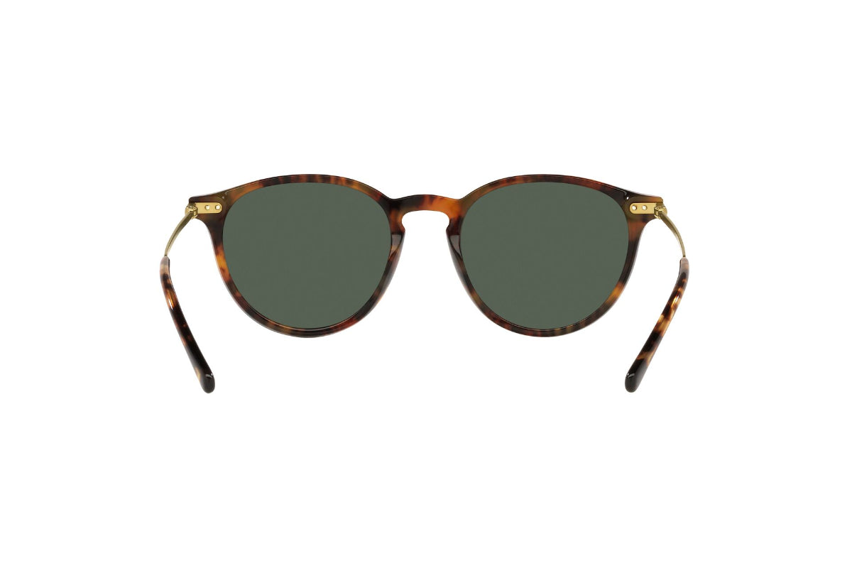 Lentes de Sol Shiny Jerry Tortoise Polo