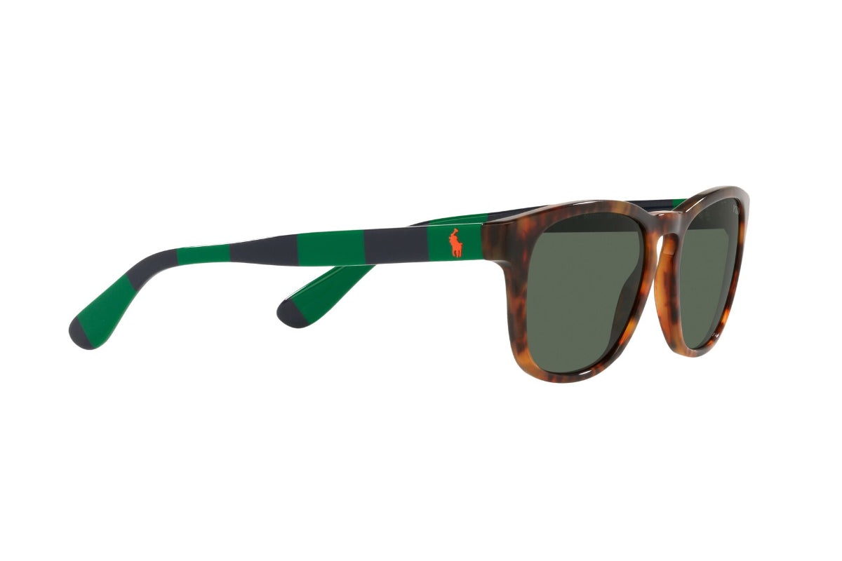 Lentes de Sol Shiny Jerry Tortoise Polo Ralph Lauren