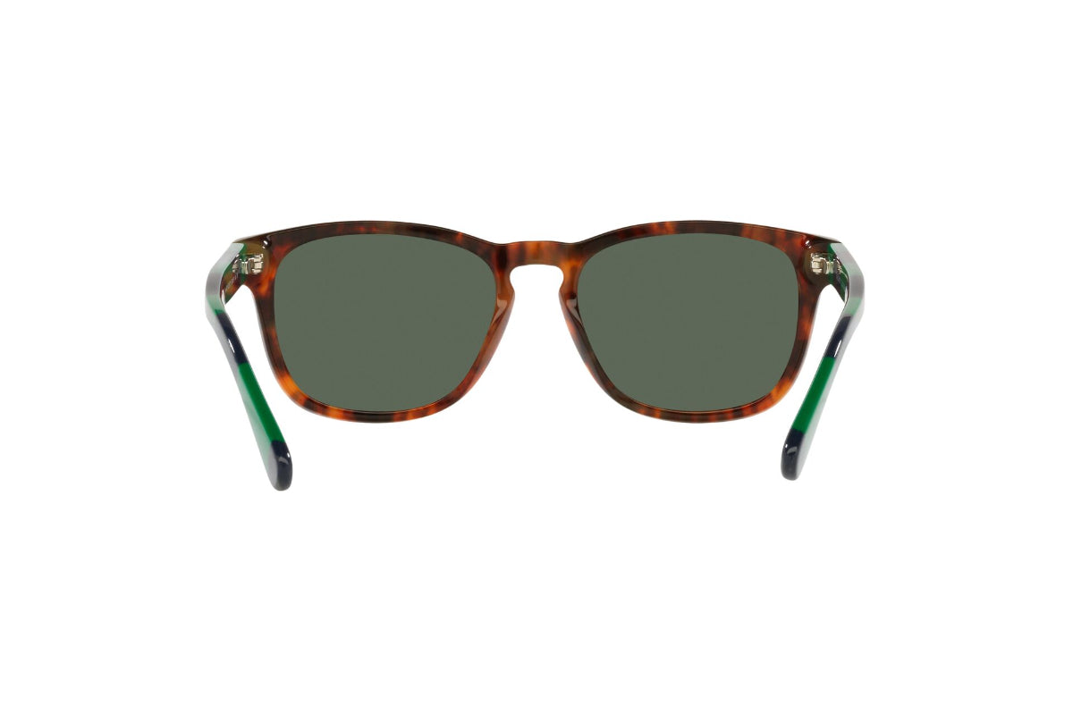 Lentes de Sol Shiny Jerry Tortoise Polo Ralph Lauren