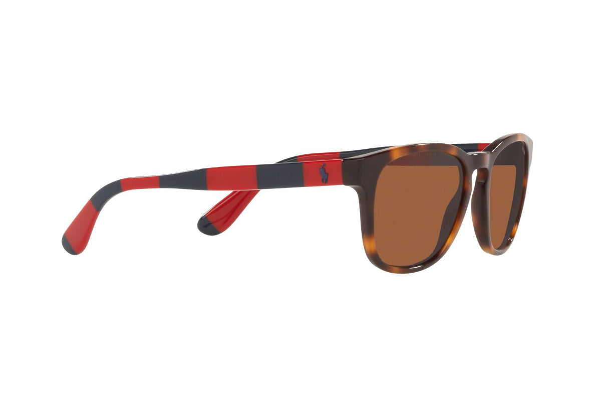 Lentes de Sol Shiny Tortoise Polo Ralph Lauren