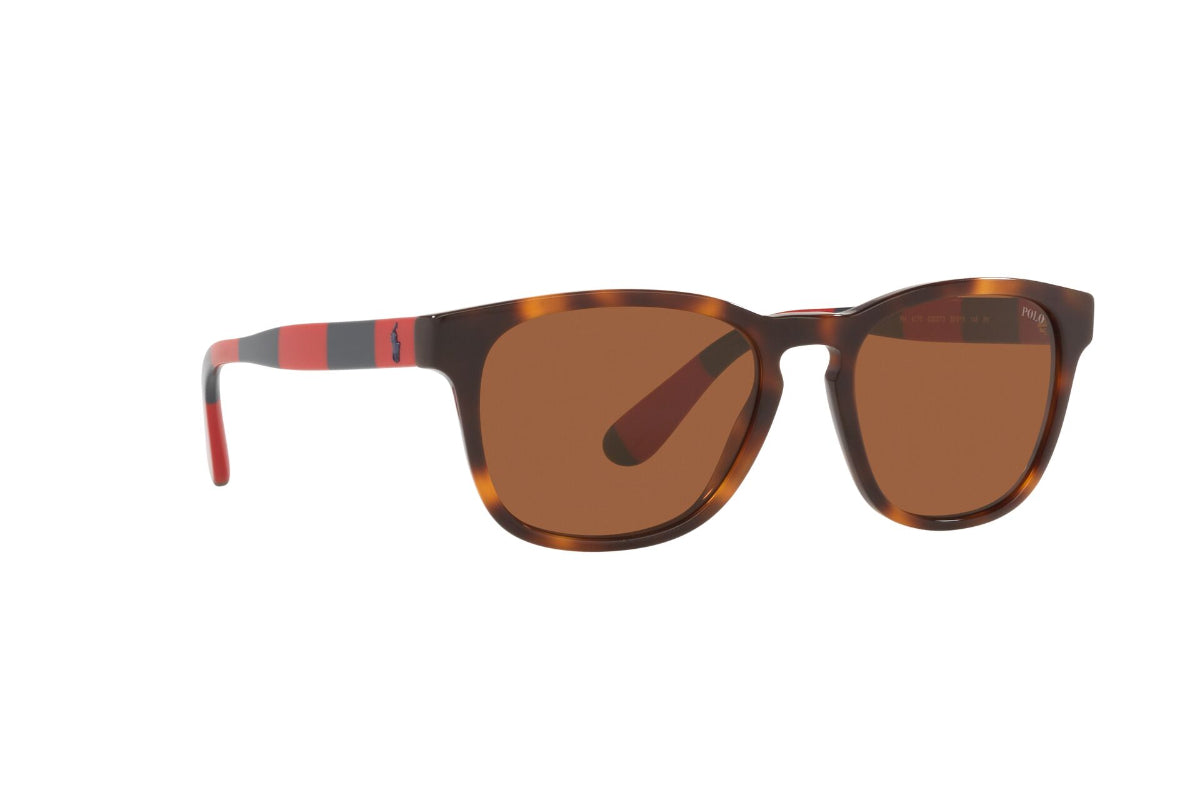 Lentes de Sol Shiny Tortoise Polo Ralph Lauren