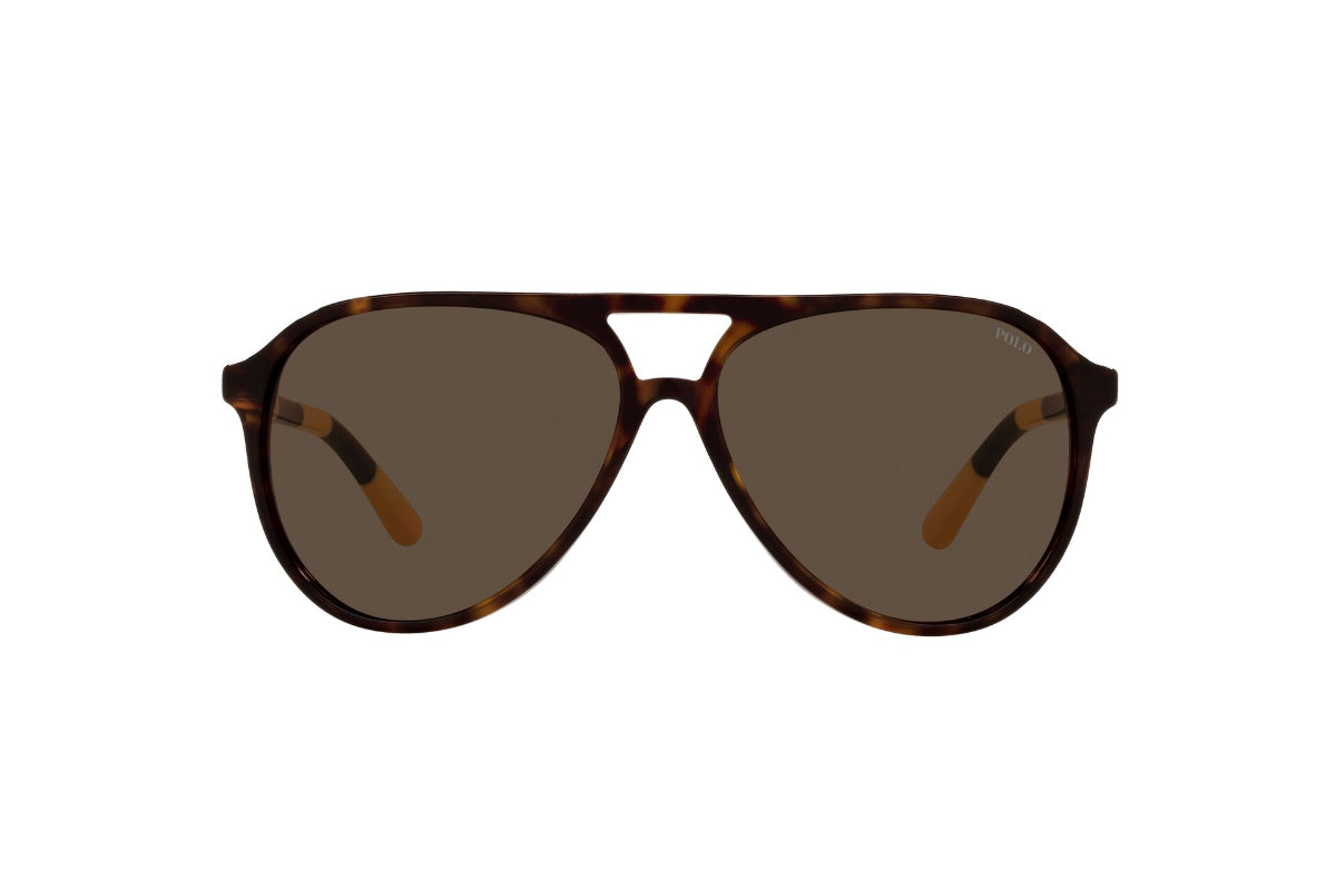 Polo Lentes de Sol PH4173