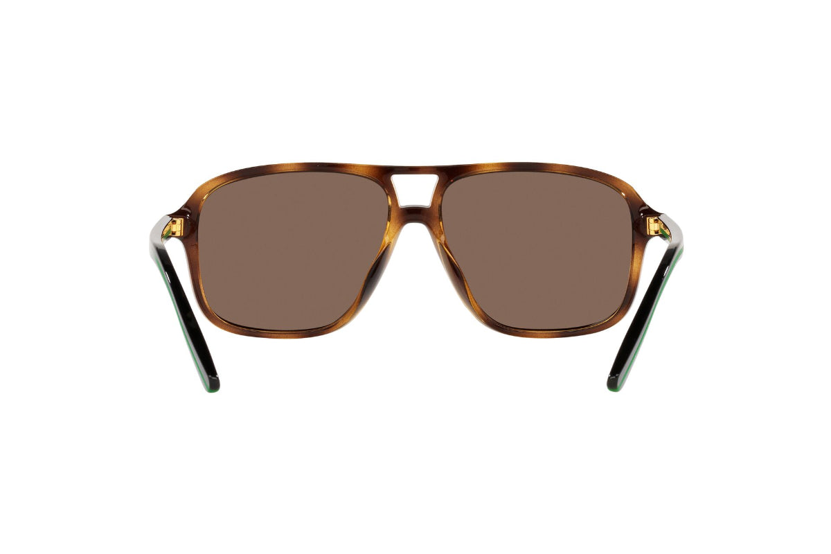 Lentes de Sol Shiny Havana Polo Ralph Lauren