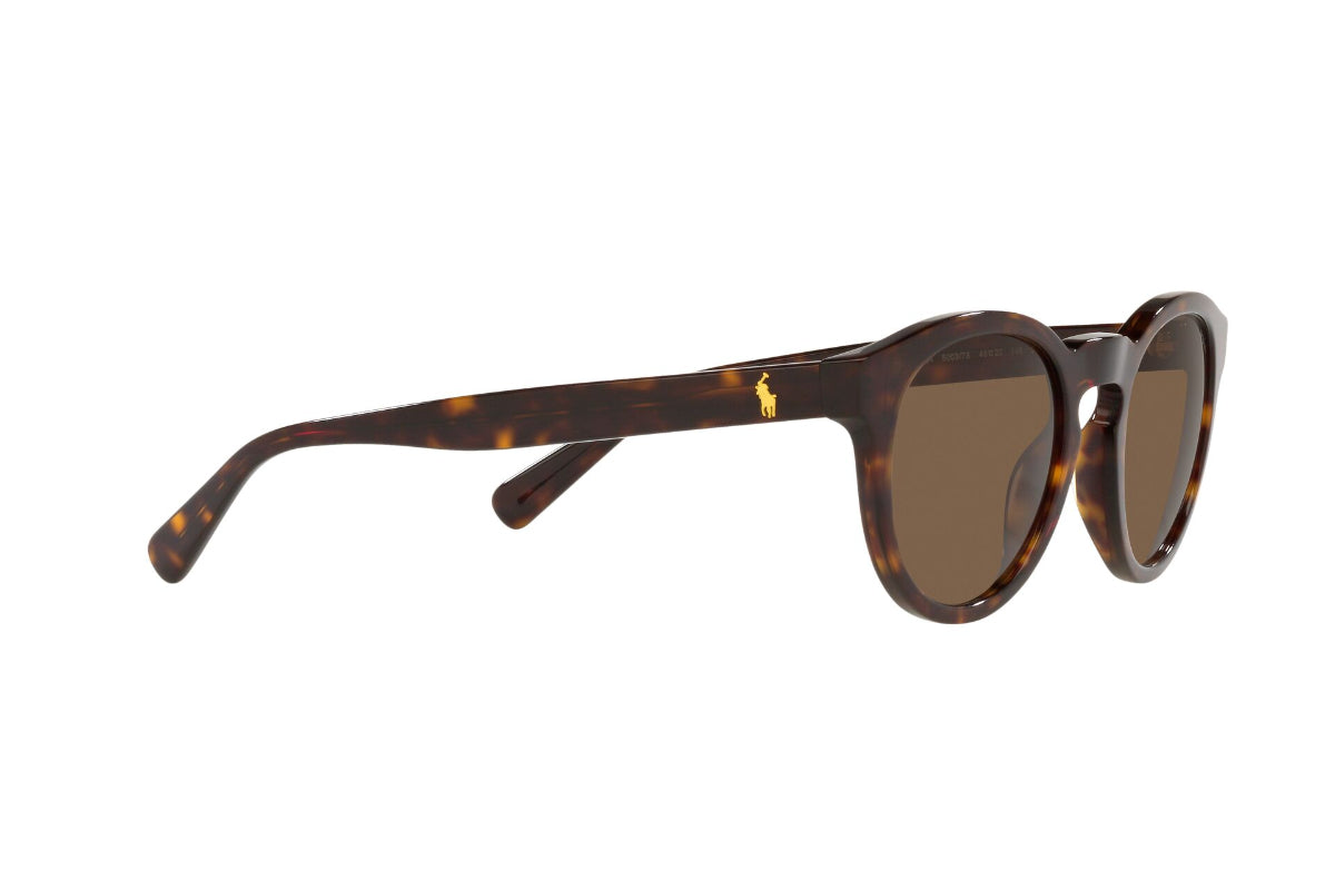 Polo Lentes de Sol PH4184