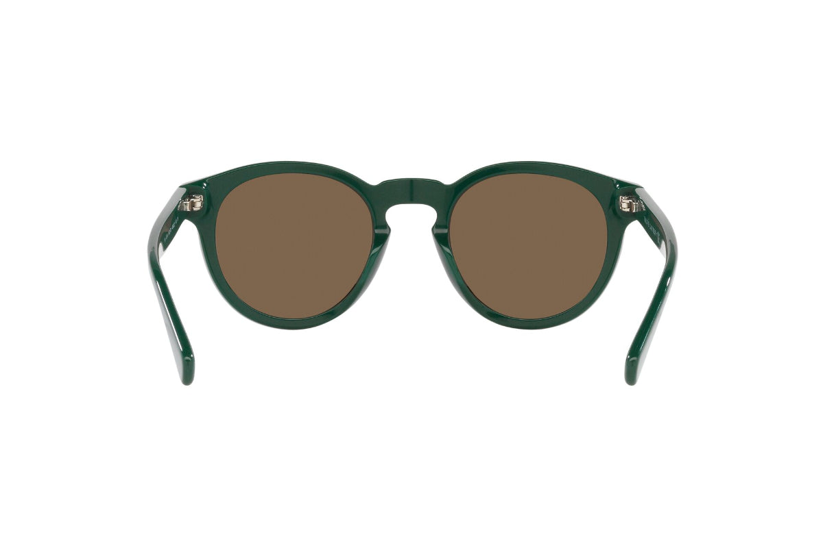 Polo Lentes de Sol PH4184