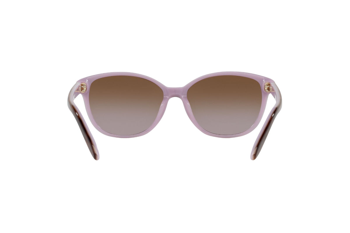Lentes de Sol Shiny Tortoise On Violet Ralph