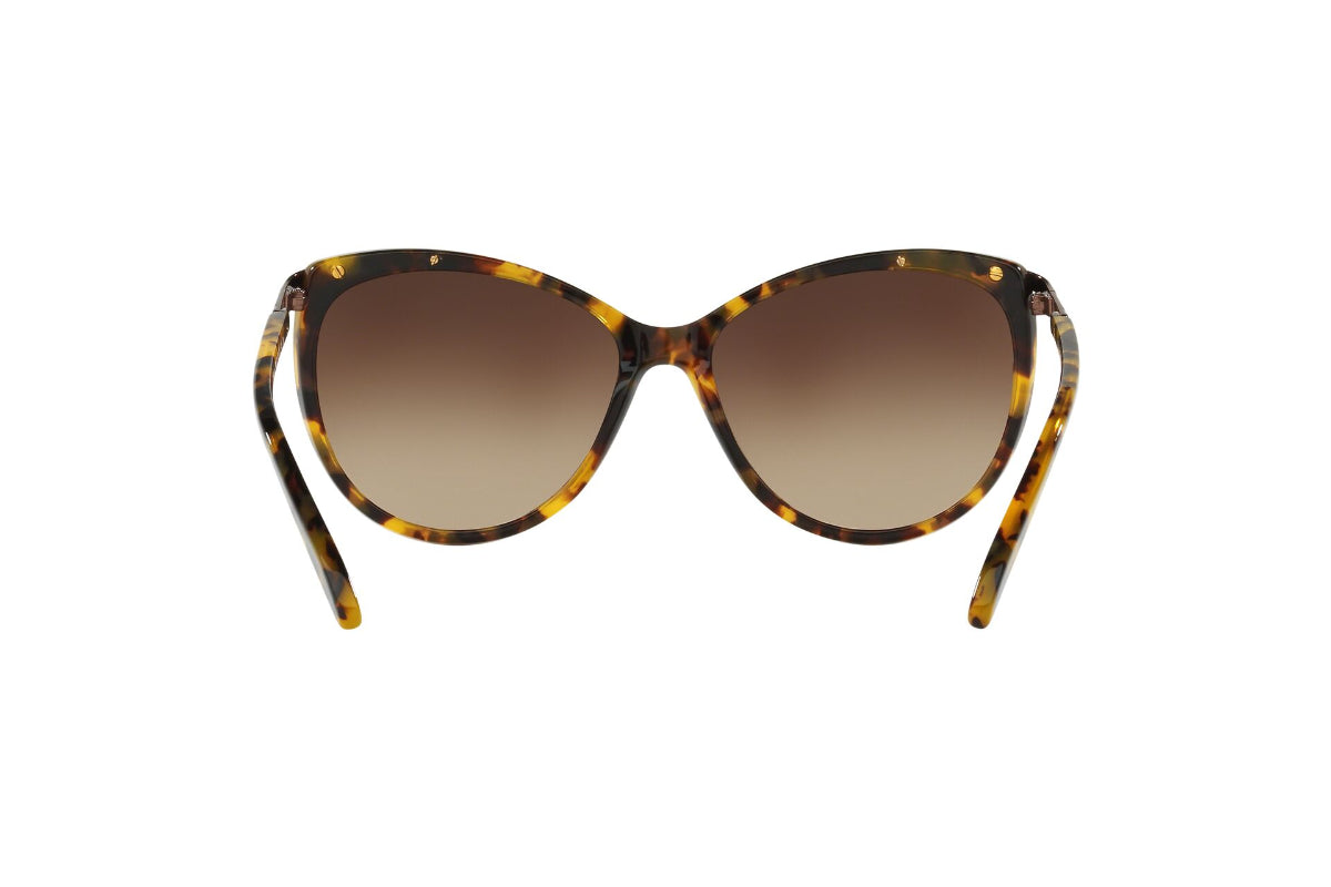 Lentes de Sol Shiny Spotty Havana & Bronze Ralph
