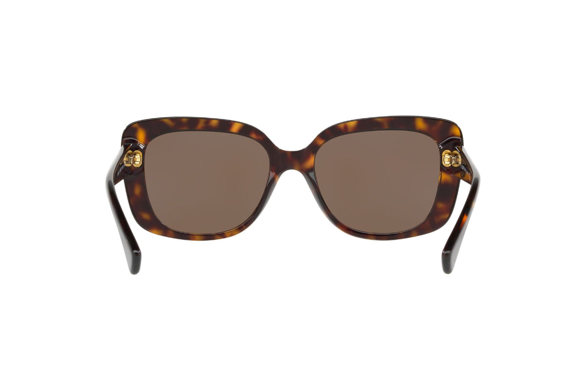 Lentes de Sol Shiny Dark Havana Ralph