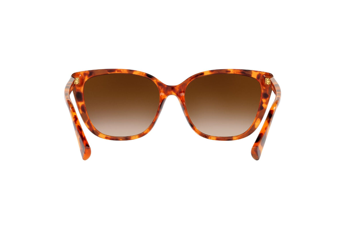 Lentes de Sol Shiny Sponged Havana Brown Ralph