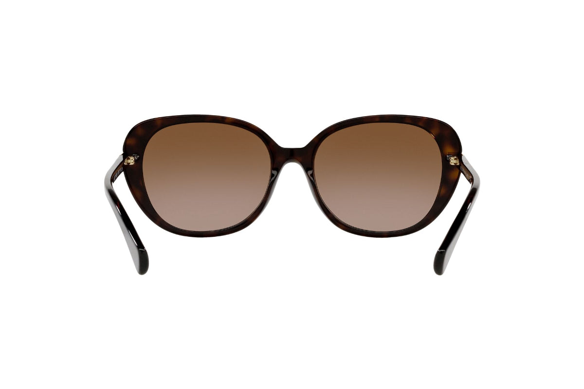 Lentes de Sol Shiny Dark Havana Ralph