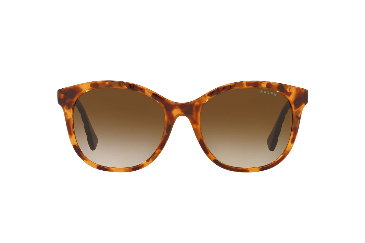 Lentes de Sol Shiny Sponged Havana Ralph
