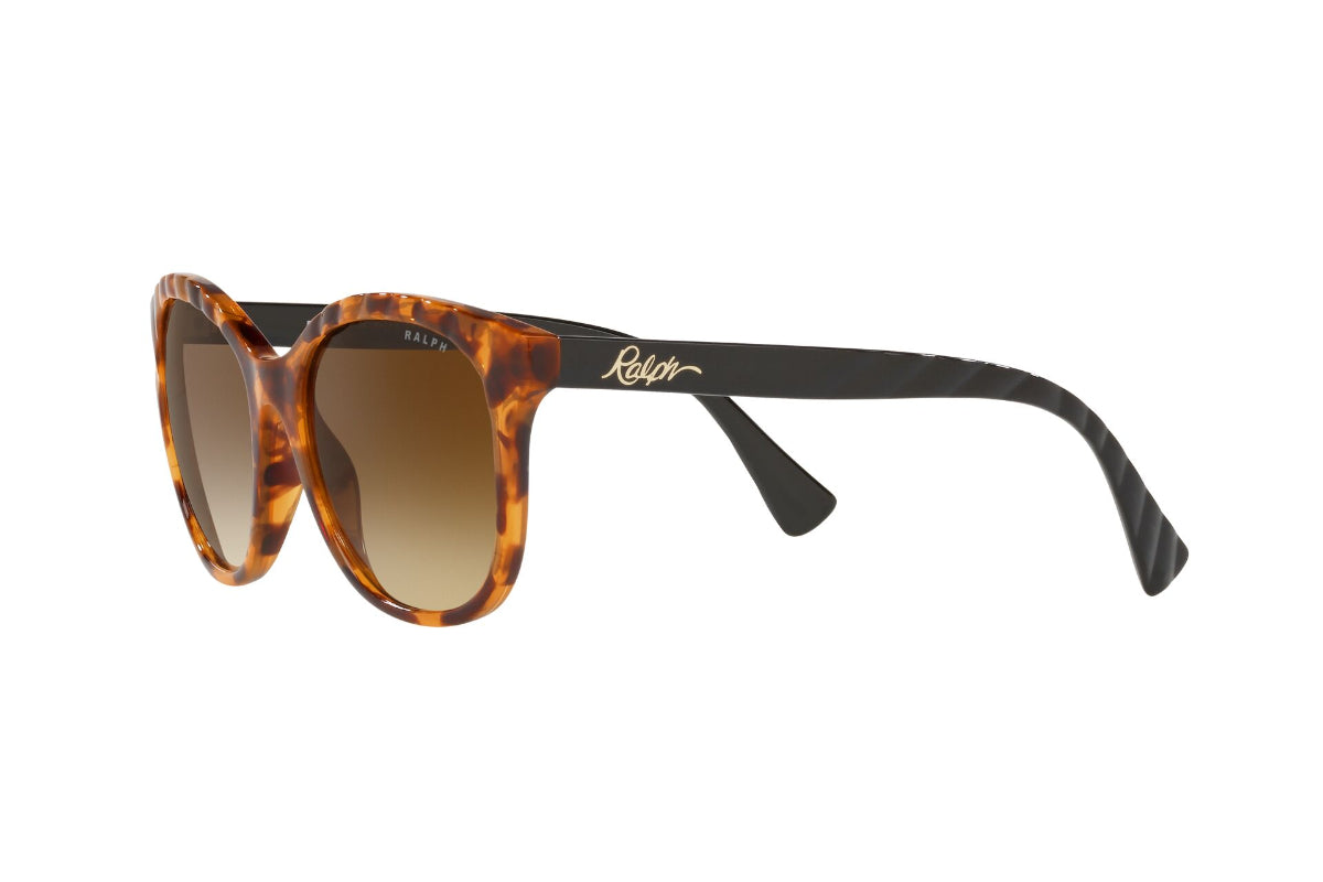 Lentes de Sol Shiny Sponged Havana Ralph