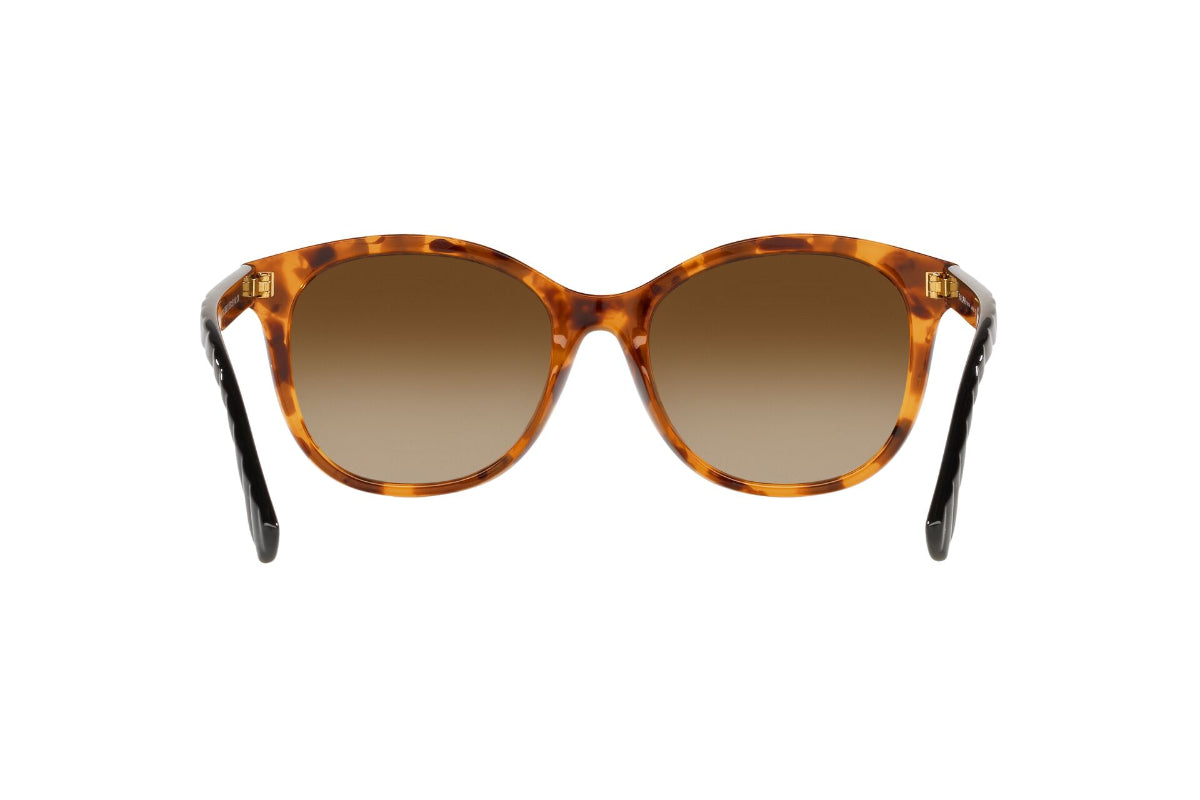 Lentes de Sol Shiny Sponged Havana Ralph