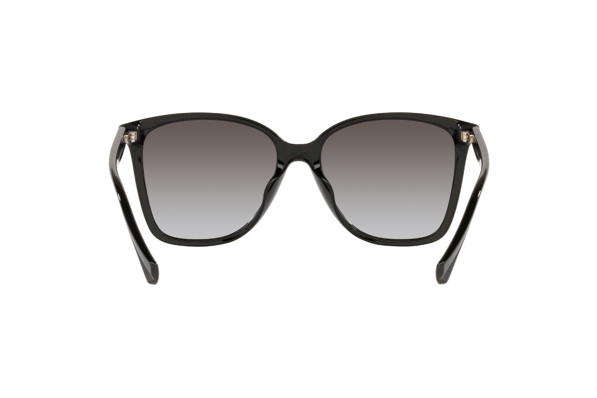 Lentes de Sol Shiny Black Ralph