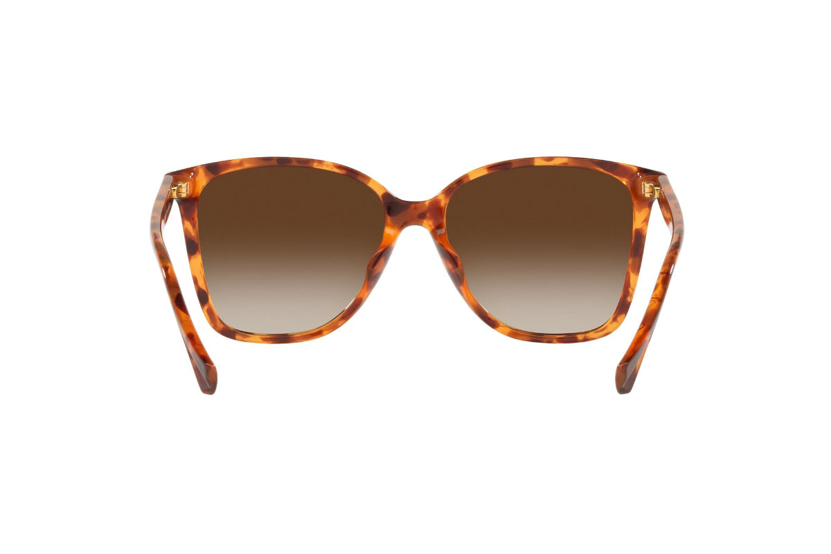 Lentes de Sol Shiny Havana Ralph