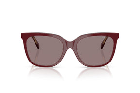Ralph Lentes de Sol RA5343U