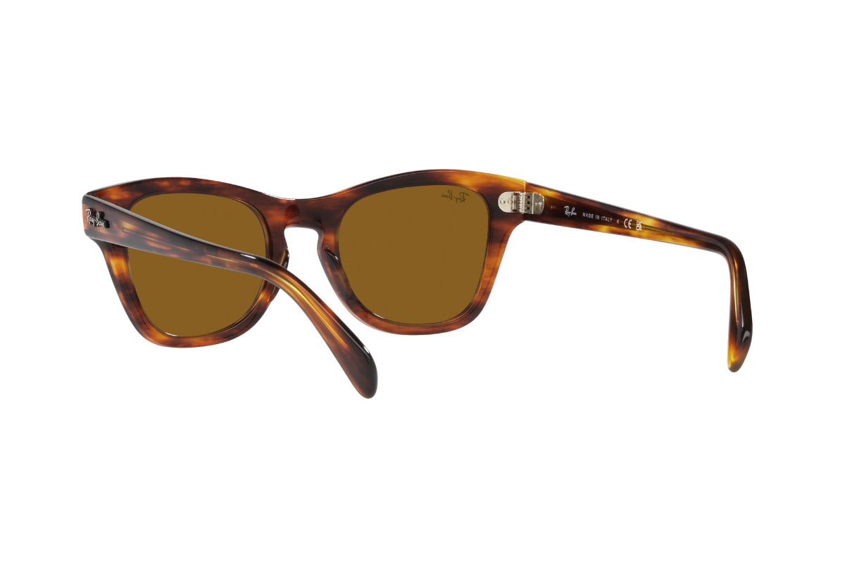 Ray-Ban Lentes de Sol RB0707S