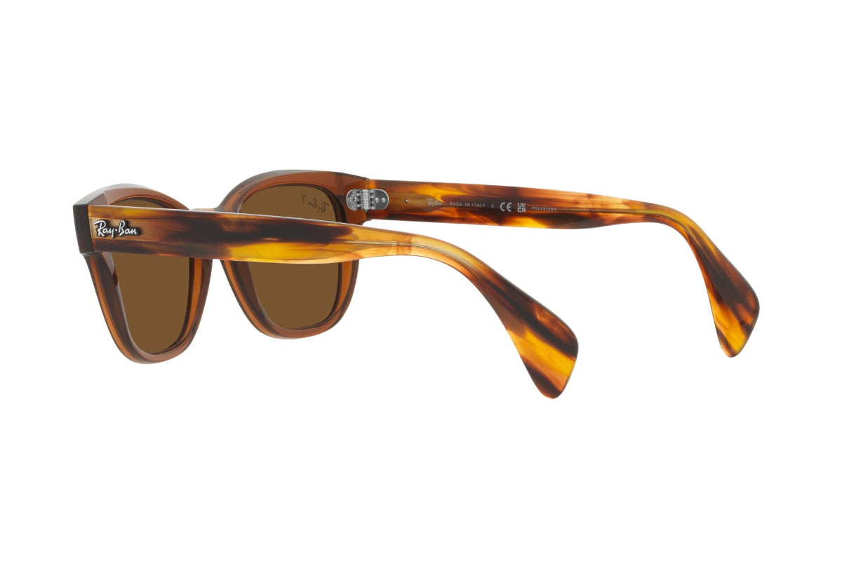 Ray-Ban Lentes de Sol Polarizados RB0880S